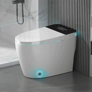 Smart toilet with Voice Control
